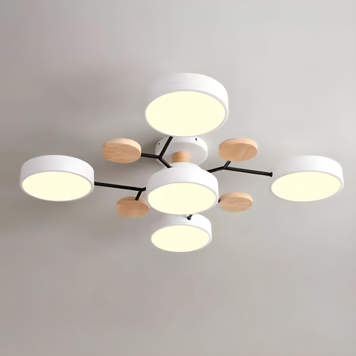 5 Lichtpunten