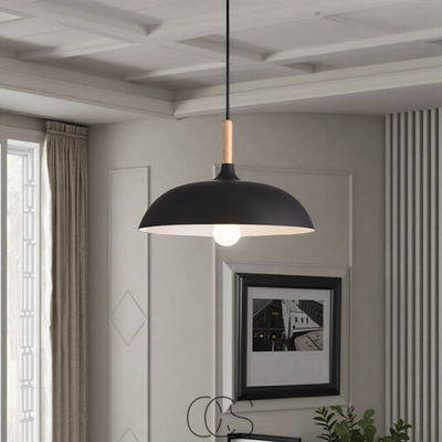 OCS - Hanglamp Moderne Mat Zwarte Plafondlamp
