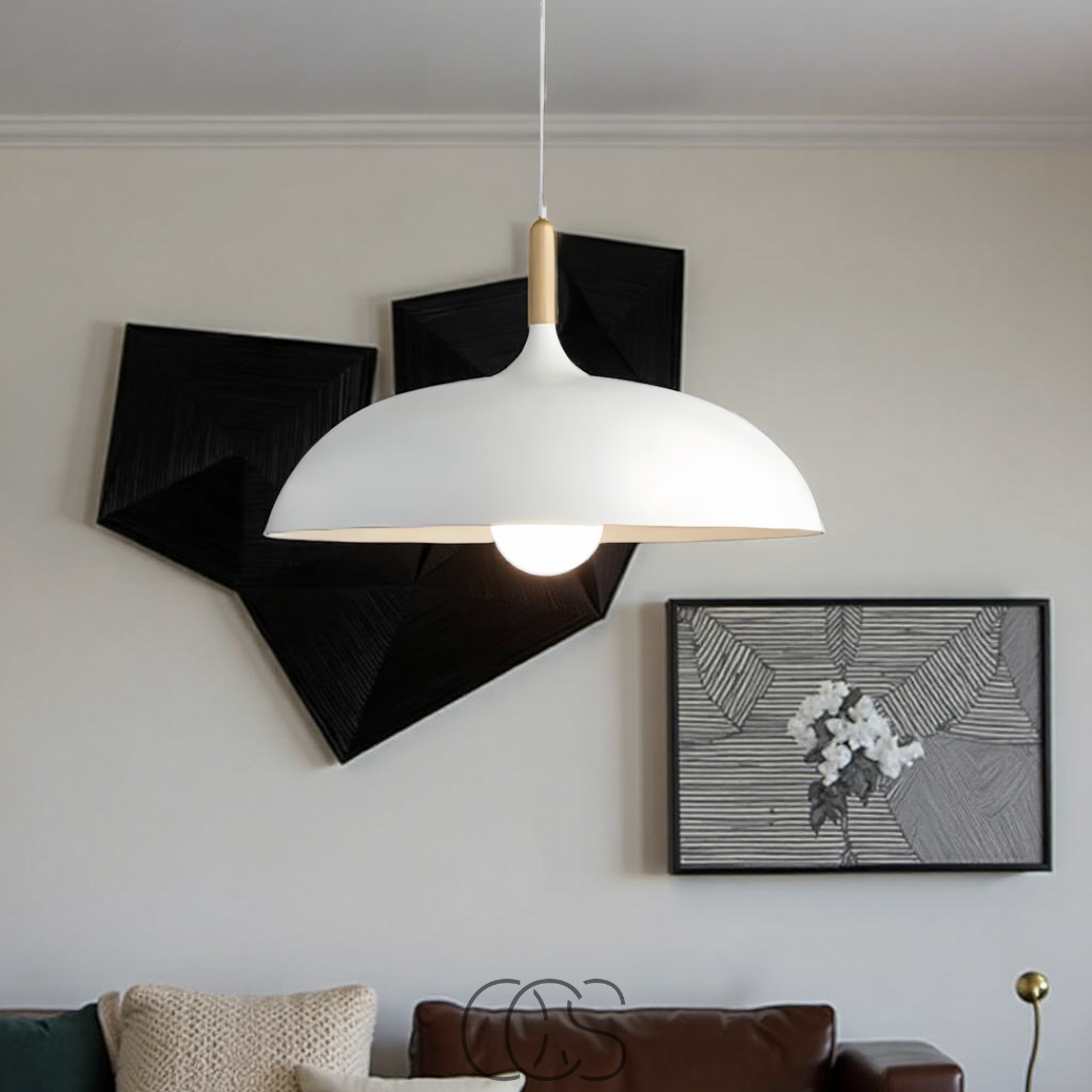 OCS - Hanglamp Moderne Mat Zwarte Plafondlamp