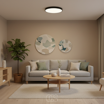 OCS - Ronde & Platte LED Plafondlamp – Modern Design in Wit, Zwart of Goud