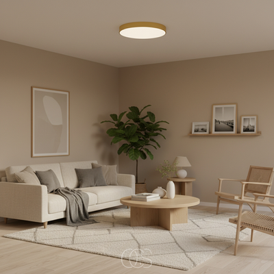 OCS - Ronde & Platte LED Plafondlamp – Modern Design in Wit, Zwart of Goud