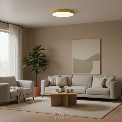 OCS - Ronde & Platte LED Plafondlamp – Modern Design in Wit, Zwart of Goud